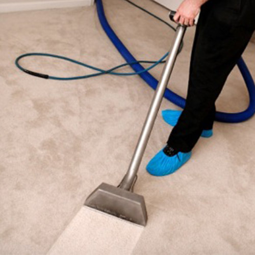 carpet cleaning professionals